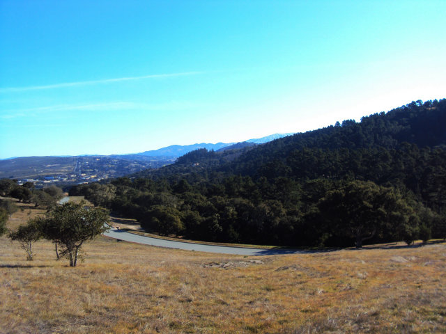 24237 MONTERRA WOODS Road, SALINAS, California 93940, ,Lots And Land,For Sale,MONTERRA WOODS Road,40966543