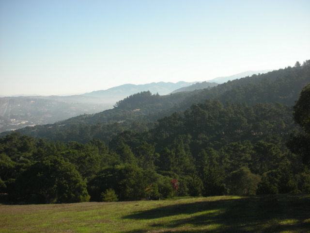 24237 MONTERRA WOODS Road, SALINAS, California 93940, ,Lots And Land,For Sale,MONTERRA WOODS Road,40966543
