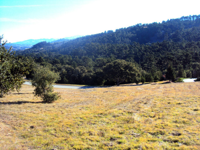 24237 MONTERRA WOODS Road, SALINAS, California 93940, ,Lots And Land,For Sale,MONTERRA WOODS Road,40966543