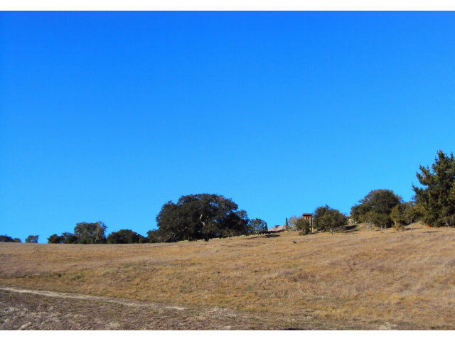 24237 MONTERRA WOODS Road, SALINAS, California 93940, ,Lots And Land,For Sale,MONTERRA WOODS Road,40966543