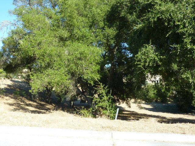 2355 STONECRESS Street, GILROY, California 95020, ,Lots And Land,For Sale,STONECRESS Street,40966542