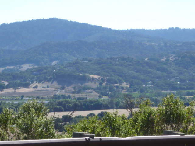 2355 STONECRESS Street, GILROY, California 95020, ,Lots And Land,For Sale,STONECRESS Street,40966542