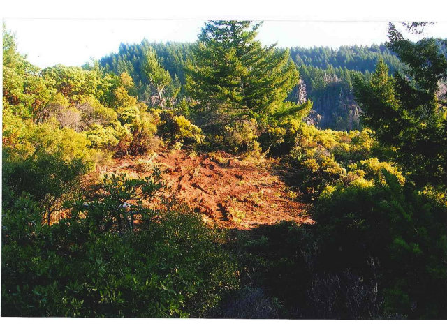 27384 Mountain View Road, OTHER - SEE REMARKS, California 95415, ,Lots And Land,For Sale,Mountain View Road,40966541