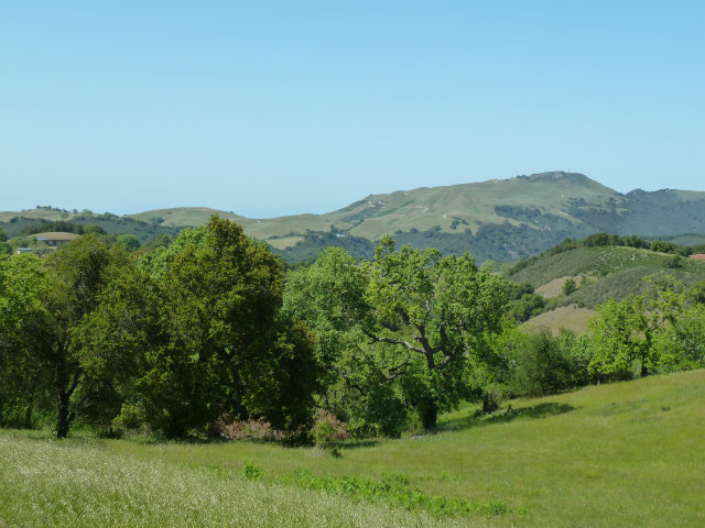 8 TOUCHE Pass, CARMEL VALLEY, California 93923, ,Lots And Land,For Sale,TOUCHE Pass,40966539
