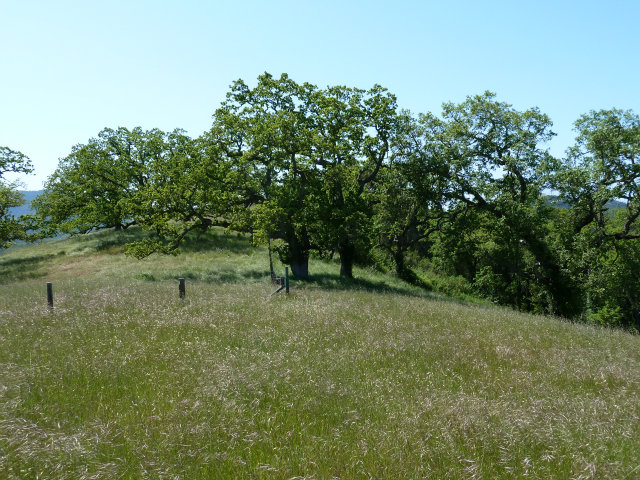 8 TOUCHE Pass, CARMEL VALLEY, California 93923, ,Lots And Land,For Sale,TOUCHE Pass,40966539