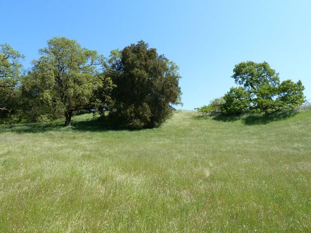 8 TOUCHE Pass, CARMEL VALLEY, California 93923, ,Lots And Land,For Sale,TOUCHE Pass,40966539