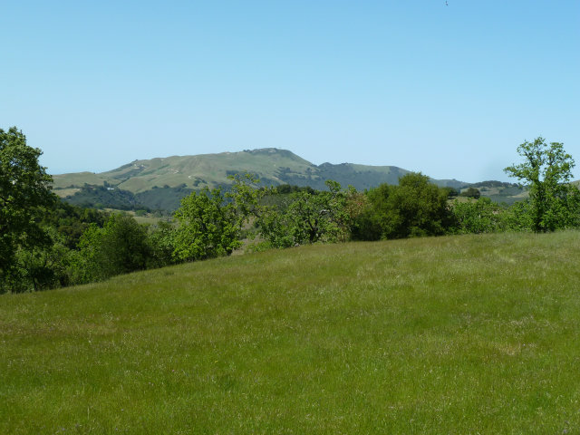 8 TOUCHE Pass, CARMEL VALLEY, California 93923, ,Lots And Land,For Sale,TOUCHE Pass,40966539
