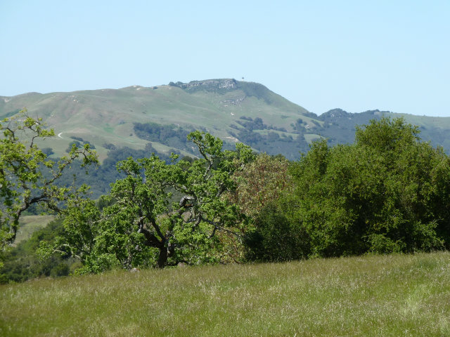 8 TOUCHE Pass, CARMEL VALLEY, California 93923, ,Lots And Land,For Sale,TOUCHE Pass,40966539