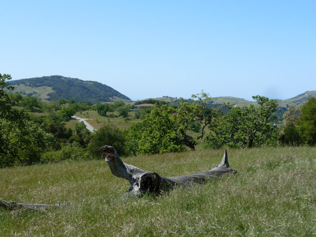 8 TOUCHE Pass, CARMEL VALLEY, California 93923, ,Lots And Land,For Sale,TOUCHE Pass,40966539