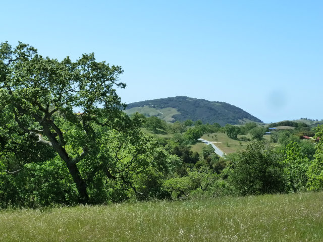 8 TOUCHE Pass, CARMEL VALLEY, California 93923, ,Lots And Land,For Sale,TOUCHE Pass,40966539