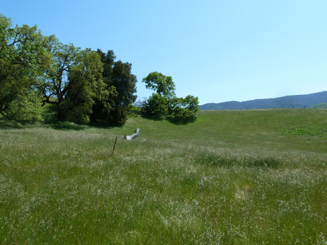 8 TOUCHE Pass, CARMEL VALLEY, California 93923, ,Lots And Land,For Sale,TOUCHE Pass,40966539