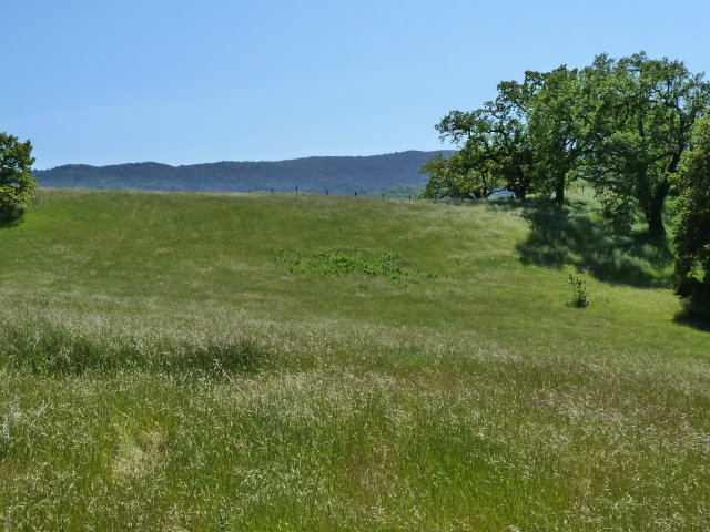 8 TOUCHE Pass, CARMEL VALLEY, California 93923, ,Lots And Land,For Sale,TOUCHE Pass,40966539