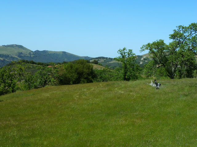 8 TOUCHE Pass, CARMEL VALLEY, California 93923, ,Lots And Land,For Sale,TOUCHE Pass,40966539