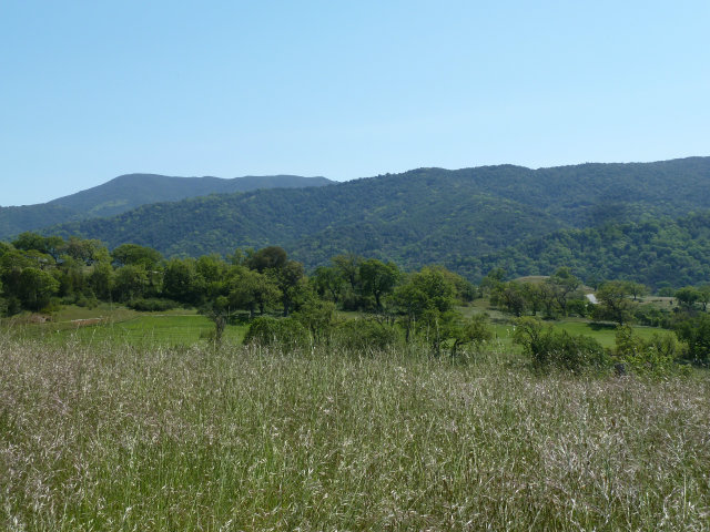 8 TOUCHE Pass, CARMEL VALLEY, California 93923, ,Lots And Land,For Sale,TOUCHE Pass,40966539