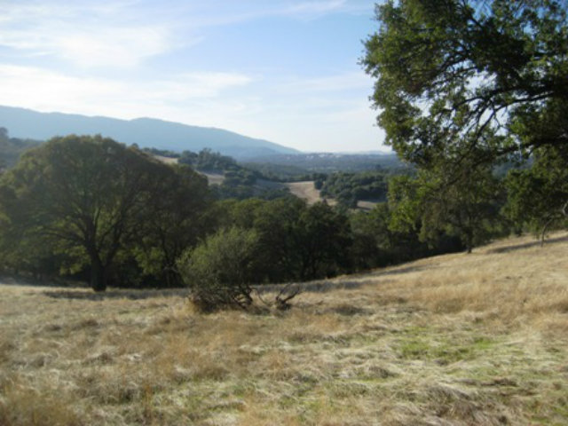 6033 Fourth Crossing Road, SAN ANDREAS, California 95249, ,Lots And Land,For Sale,Fourth Crossing Road,40966537