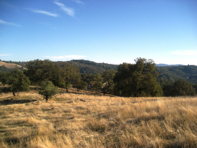 6033 Fourth Crossing Road, SAN ANDREAS, California 95249, ,Lots And Land,For Sale,Fourth Crossing Road,40966537