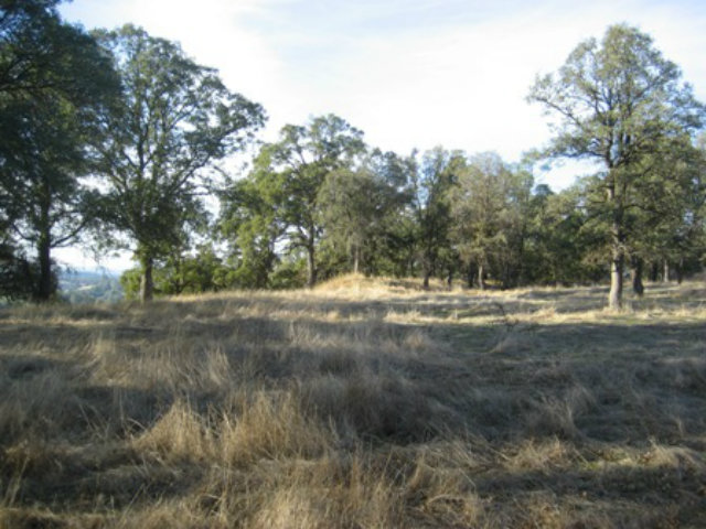 6033 Fourth Crossing Road, SAN ANDREAS, California 95249, ,Lots And Land,For Sale,Fourth Crossing Road,40966537