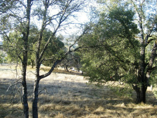 6033 Fourth Crossing Road, SAN ANDREAS, California 95249, ,Lots And Land,For Sale,Fourth Crossing Road,40966537