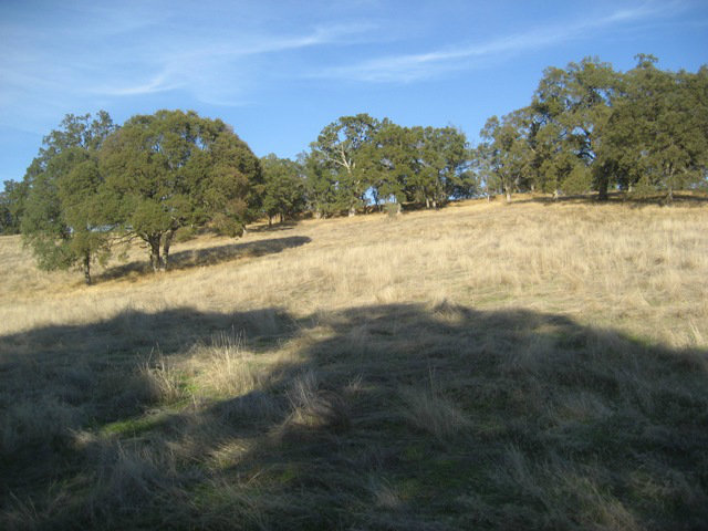 6033 Fourth Crossing Road, SAN ANDREAS, California 95249, ,Lots And Land,For Sale,Fourth Crossing Road,40966537