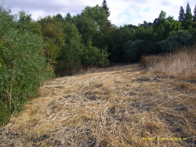 0 EASTBROOK Avenue, LOS ALTOS HILLS, California 94022, ,Lots And Land,For Sale,EASTBROOK Avenue,40966558