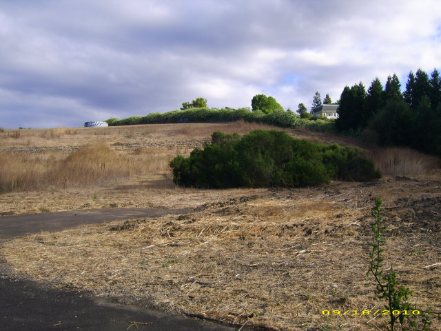 0 EASTBROOK Avenue, LOS ALTOS HILLS, California 94022, ,Lots And Land,For Sale,EASTBROOK Avenue,40966558