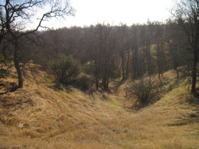 0 Saddleback Ridge, COTTONWOOD, California 96022, ,Lots And Land,For Sale,Saddleback Ridge,40966536