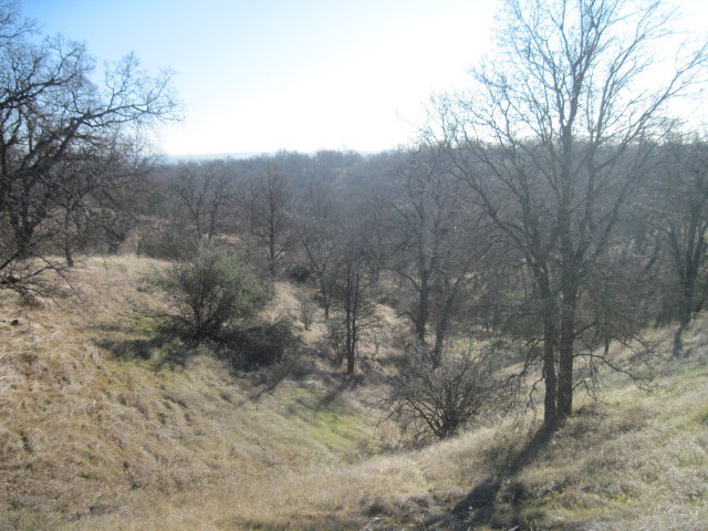 0 Saddleback Ridge, COTTONWOOD, California 96022, ,Lots And Land,For Sale,Saddleback Ridge,40966536