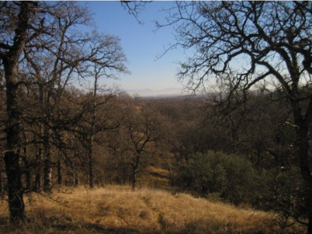 0 Saddleback Ridge, COTTONWOOD, California 96022, ,Lots And Land,For Sale,Saddleback Ridge,40966536