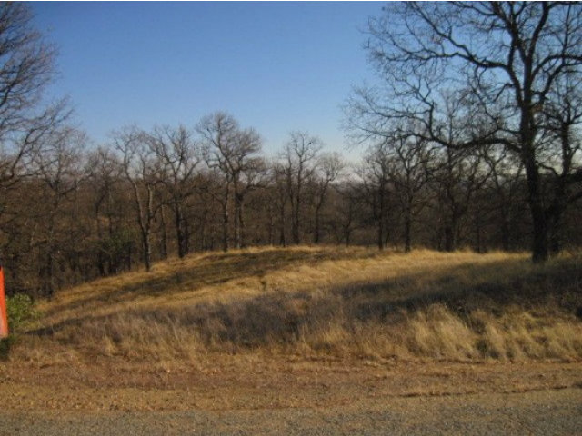 0 Saddleback Ridge, COTTONWOOD, California 96022, ,Lots And Land,For Sale,Saddleback Ridge,40966536