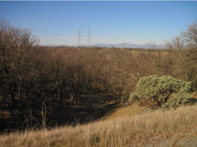 0 Saddleback Ridge, COTTONWOOD, California 96022, ,Lots And Land,For Sale,Saddleback Ridge,40966536
