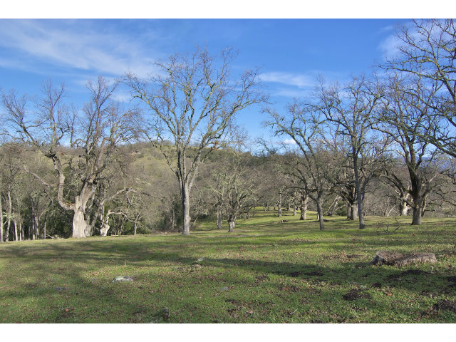13 LONG RIDGE Trail, CARMEL VALLEY, California 93923, ,Lots And Land,For Sale,LONG RIDGE Trail,40966615