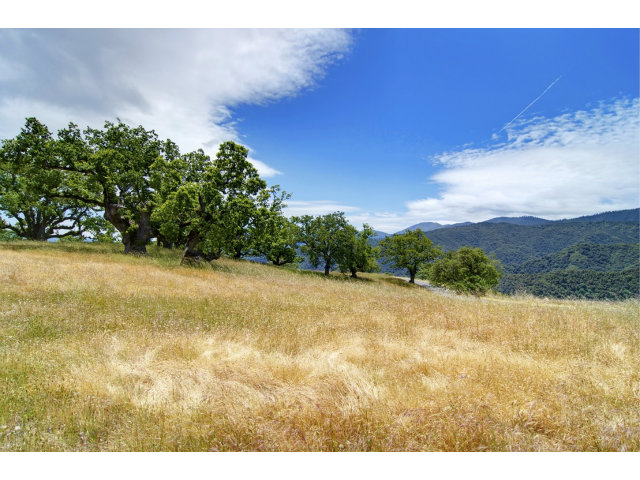 13 LONG RIDGE Trail, CARMEL VALLEY, California 93923, ,Lots And Land,For Sale,LONG RIDGE Trail,40966615