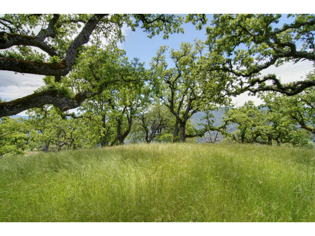 13 LONG RIDGE Trail, CARMEL VALLEY, California 93923, ,Lots And Land,For Sale,LONG RIDGE Trail,40966615