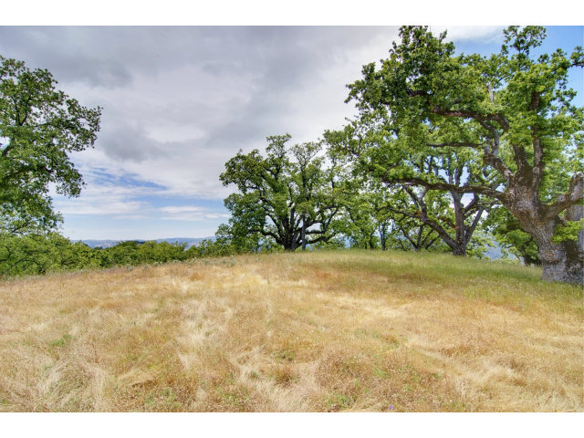 13 LONG RIDGE Trail, CARMEL VALLEY, California 93923, ,Lots And Land,For Sale,LONG RIDGE Trail,40966615