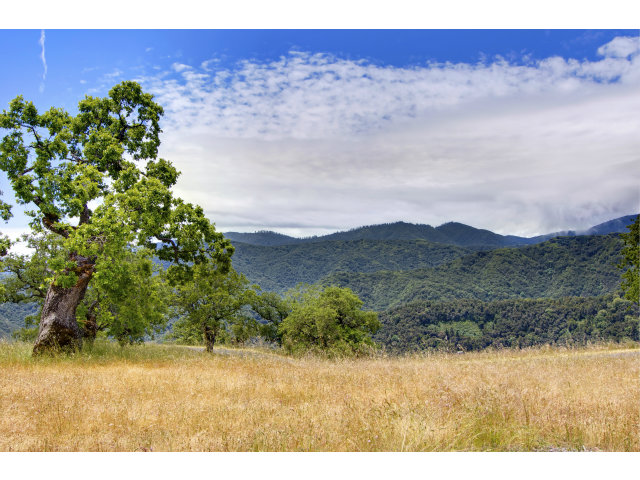 13 LONG RIDGE Trail, CARMEL VALLEY, California 93923, ,Lots And Land,For Sale,LONG RIDGE Trail,40966615