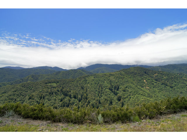13 LONG RIDGE Trail, CARMEL VALLEY, California 93923, ,Lots And Land,For Sale,LONG RIDGE Trail,40966615