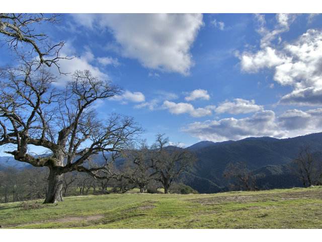 13 LONG RIDGE Trail, CARMEL VALLEY, California 93923, ,Lots And Land,For Sale,LONG RIDGE Trail,40966615