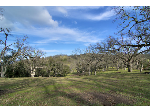 13 LONG RIDGE Trail, CARMEL VALLEY, California 93923, ,Lots And Land,For Sale,LONG RIDGE Trail,40966615