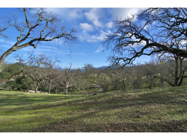 13 LONG RIDGE Trail, CARMEL VALLEY, California 93923, ,Lots And Land,For Sale,LONG RIDGE Trail,40966615