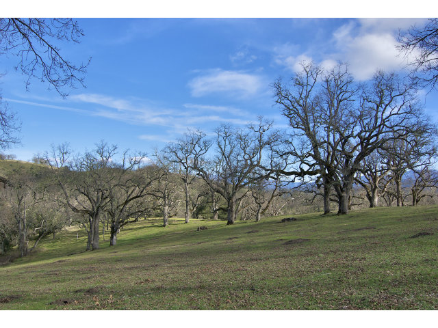 13 LONG RIDGE Trail, CARMEL VALLEY, California 93923, ,Lots And Land,For Sale,LONG RIDGE Trail,40966615