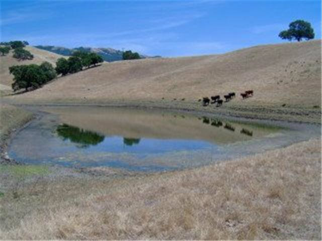 3250 OLD YERBA BUENA Road, SAN JOSE, California 95135, ,Lots And Land,For Sale,OLD YERBA BUENA Road,40966592