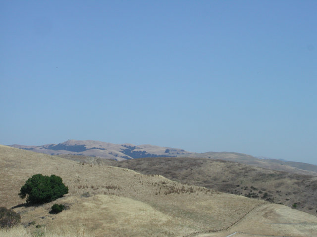 4779 ST FRANCIS Terrace, FREMONT, California 94538, ,Lots And Land,For Sale,ST FRANCIS Terrace,40966591