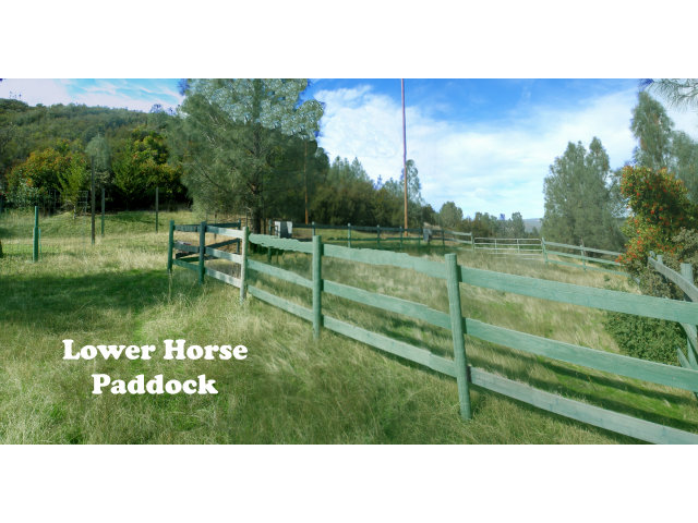 7101 Knoxville Road, NAPA, California 94573, ,Lots And Land,For Sale,Knoxville Road,40966590