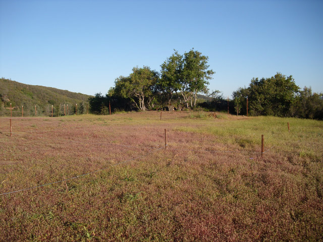 7101 Knoxville Road, NAPA, California 94573, ,Lots And Land,For Sale,Knoxville Road,40966590