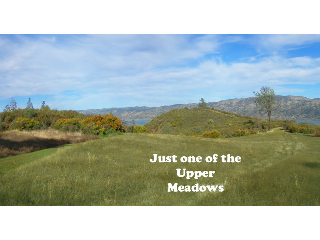7101 Knoxville Road, NAPA, California 94573, ,Lots And Land,For Sale,Knoxville Road,40966590