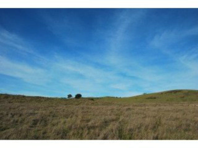 0 CREWS Road, GILROY, California 95020, ,Lots And Land,For Sale,CREWS Road,40966589