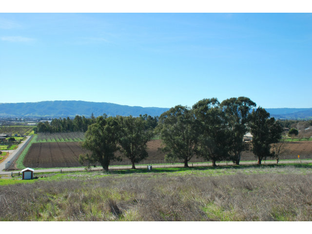 0 CREWS Road, GILROY, California 95020, ,Lots And Land,For Sale,CREWS Road,40966589