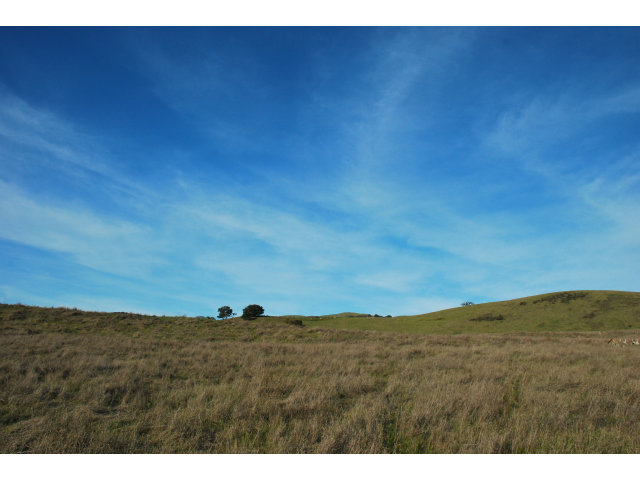 0 CREWS Road, GILROY, California 95020, ,Lots And Land,For Sale,CREWS Road,40966589