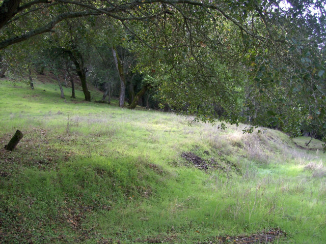 21293 CINNABAR HILLS Road, SAN JOSE, California 95120, ,Lots And Land,For Sale,CINNABAR HILLS Road,40966527