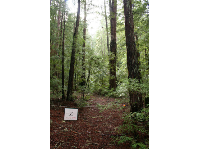0 Back Road, LA HONDA, California 94020, ,Lots And Land,For Sale,Back Road,40966523